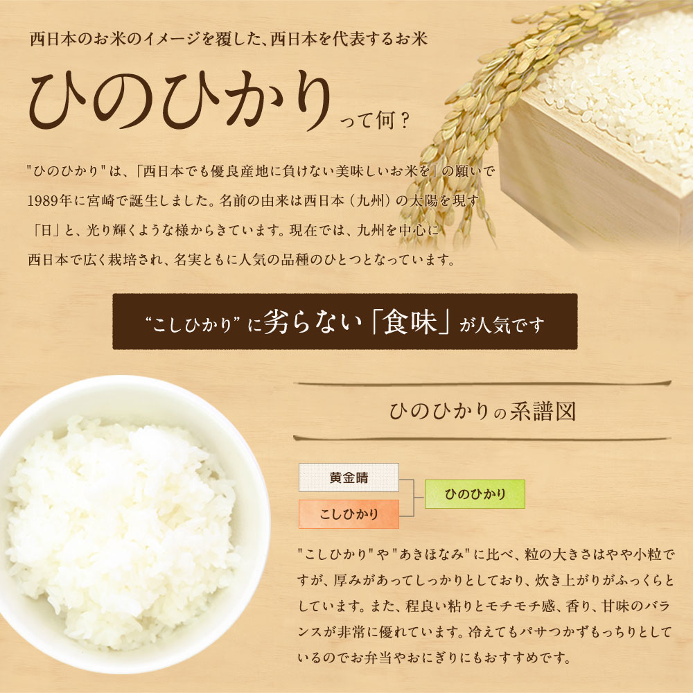 12ヵ月定期便 竹田産名水育ち ひのひかり 5kg 2年連続特a受賞 大分県竹田市 ふるさと納税 ふるさとチョイス