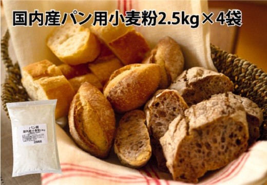 国内産100 パン用小麦粉2 5kg 4袋 計10kg H008 025 愛知県碧南市 ふるさと納税 ふるさとチョイス