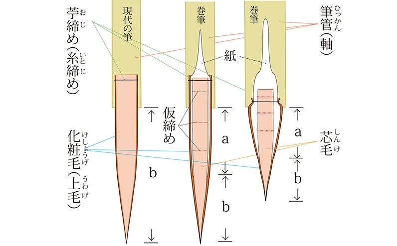 真紀筆の構造比較図