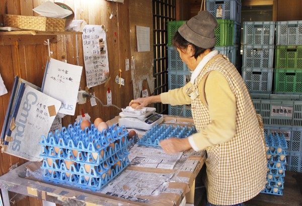 採卵して卵の重さを量る