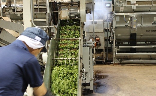 大朴協同生産組合製茶工場