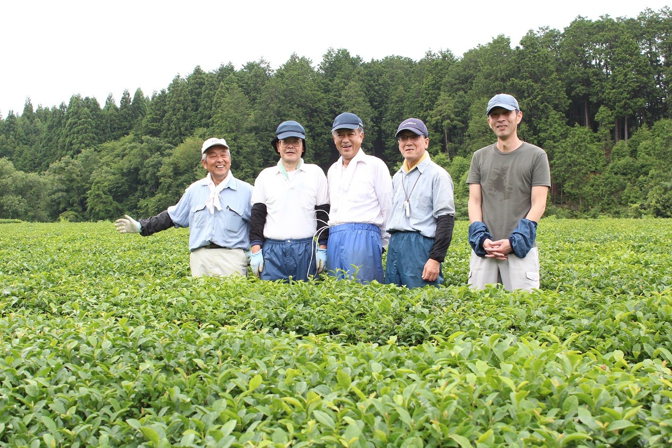 今年も良い茶葉が収穫できましたよ。笑顔で胸を張る生産組合の皆さん。