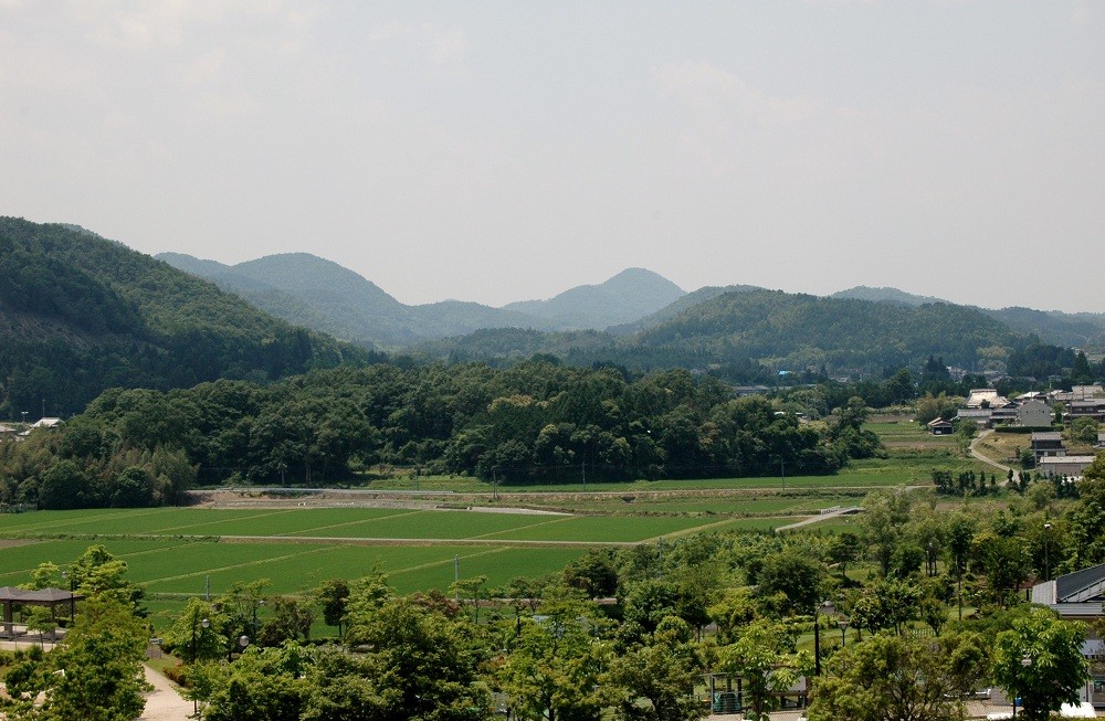 栗の産地・京丹波町は緑豊かなまちです。