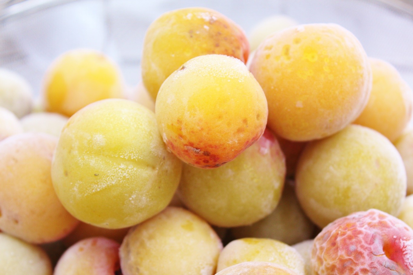 ピューレの原材料は、小さな山里の梅林で栽培された完熟梅です。