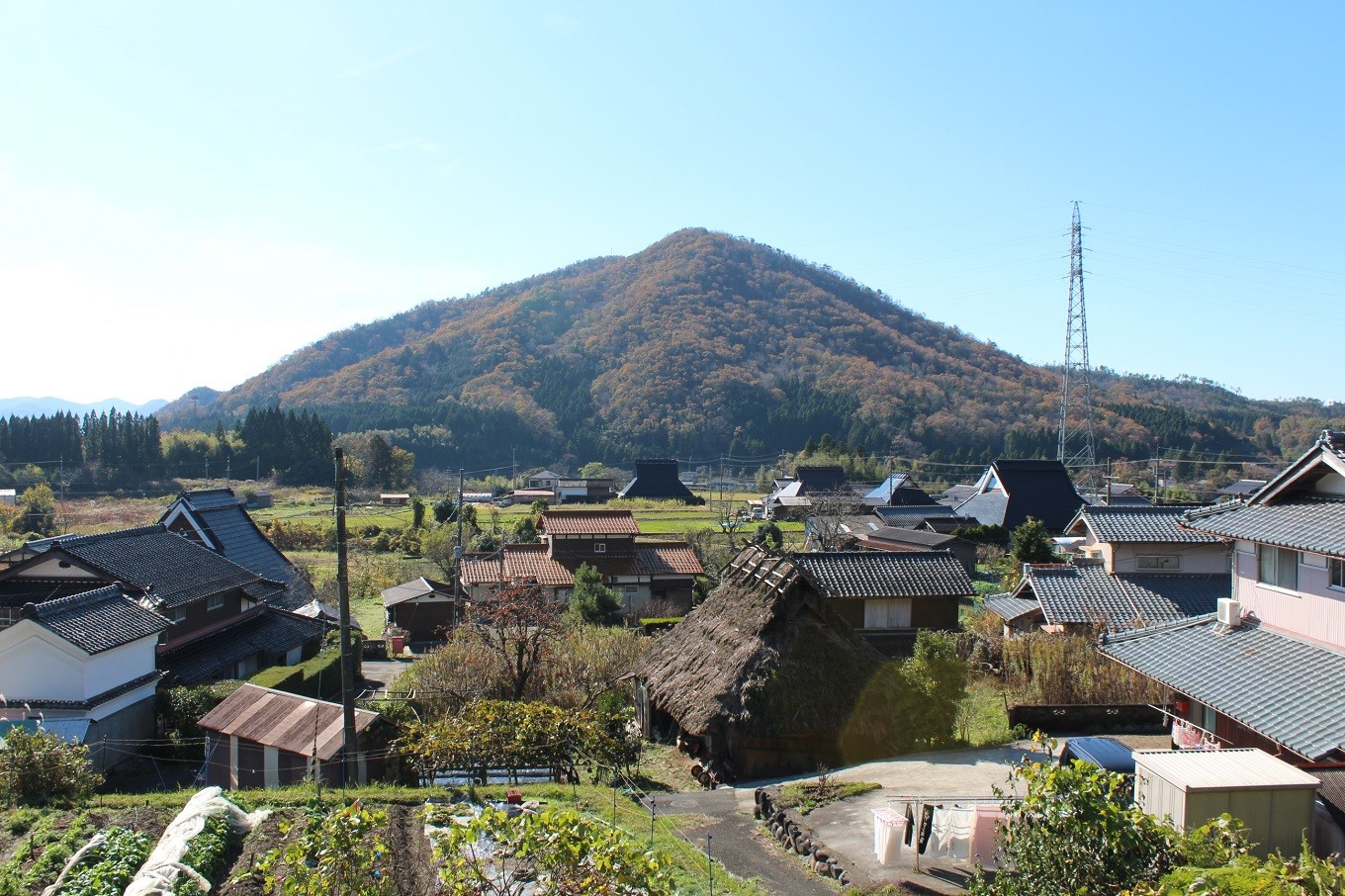 京丹波産のジビエは美しい山々の豊かな恩恵を受けています。