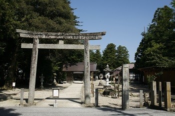 写真