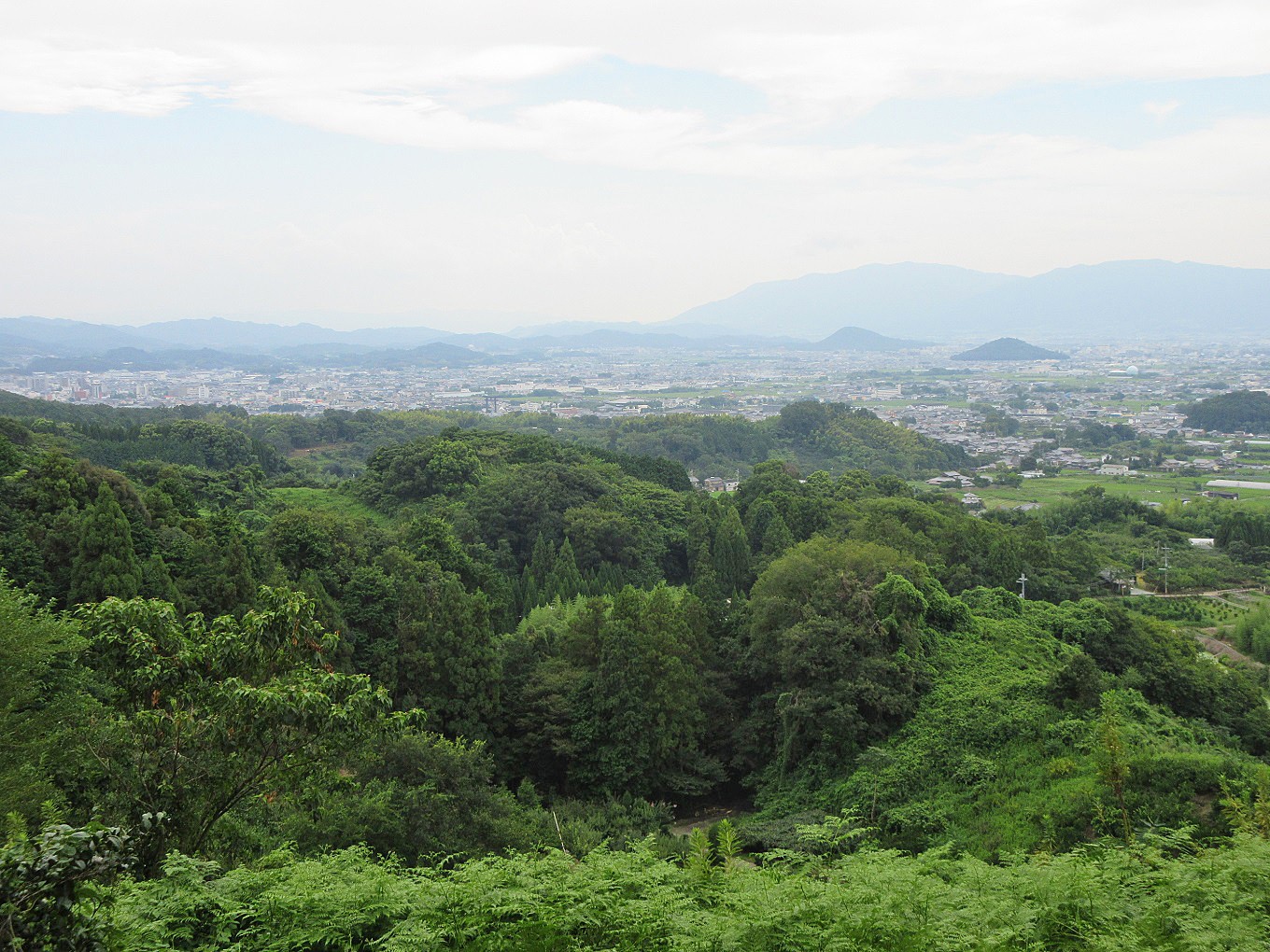 緑に囲まれた、自然豊かな場所です。