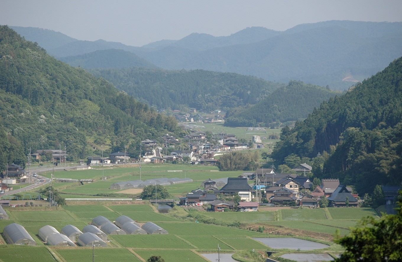 山間を縫うように耕地が広がっています。