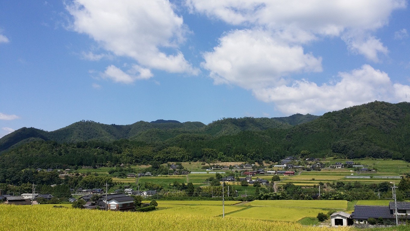 和知栗をはぐくんでいる京丹波町和知地区。