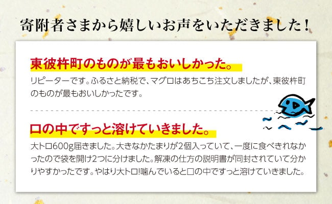 人気返礼品が復活】長崎県産 本マグロ「大トロ」約600g /大トロ 大とろ まぐろ 刺身【大村湾漁業協同組合】BAK013 - 長崎県東彼杵町｜ふるさとチョイス  - ふるさと納税サイト