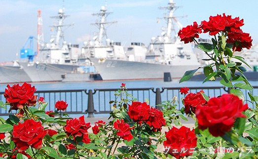 写真