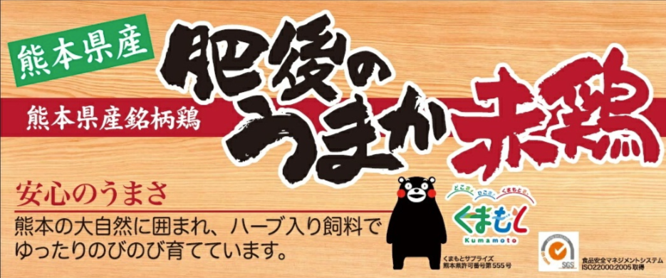 No.162 肥後のうまか赤鶏正肉セット 約3kg ／ 鶏肉 もも むね ささみ 熊本県 特産品 - 熊本県山鹿市｜ふるさとチョイス -  ふるさと納税サイト