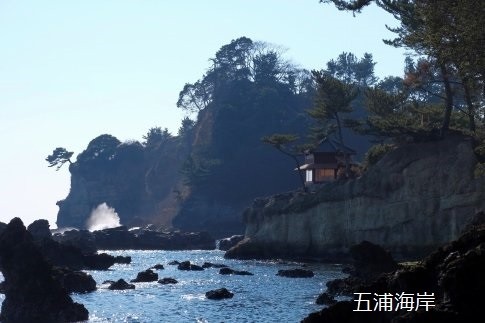 写真
