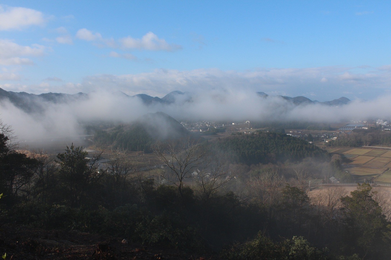 丹波高原で発生する「丹波霧」がおいしい栗をはぐくんでいます。