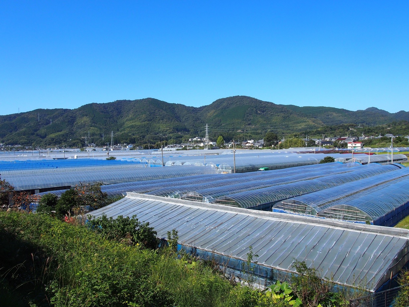 高知県芸西村