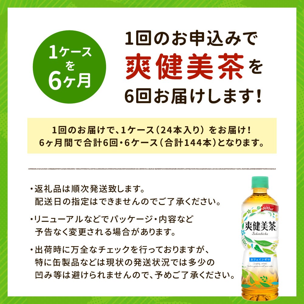 39 03 爽健美茶600ml 1ケース ６か月定期便 佐賀県鳥栖市 ふるさと納税 ふるさとチョイス