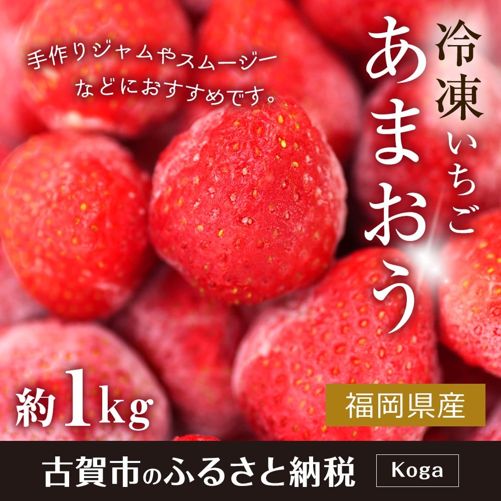 最大65%OFFクーポン 冷凍あまおう 合計3kg 500g×6パック いちご 苺 イチゴ あまおう 福岡県産 九州産 冷凍 送料無料 fucoa.cl