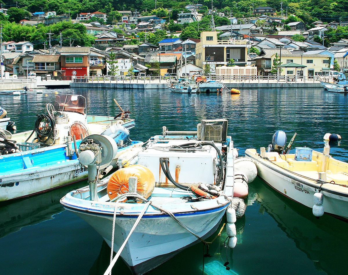 写真