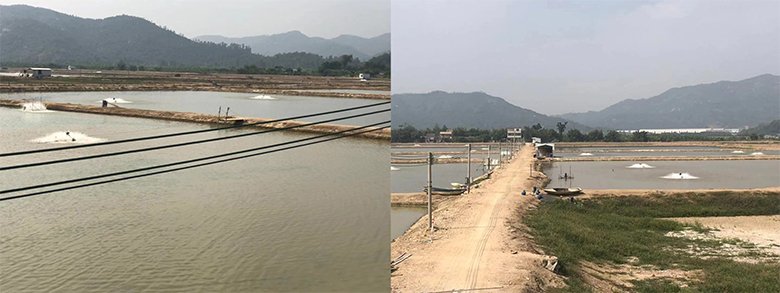 福建ドラゴンの里(広大な路地池でのびのび育てています)