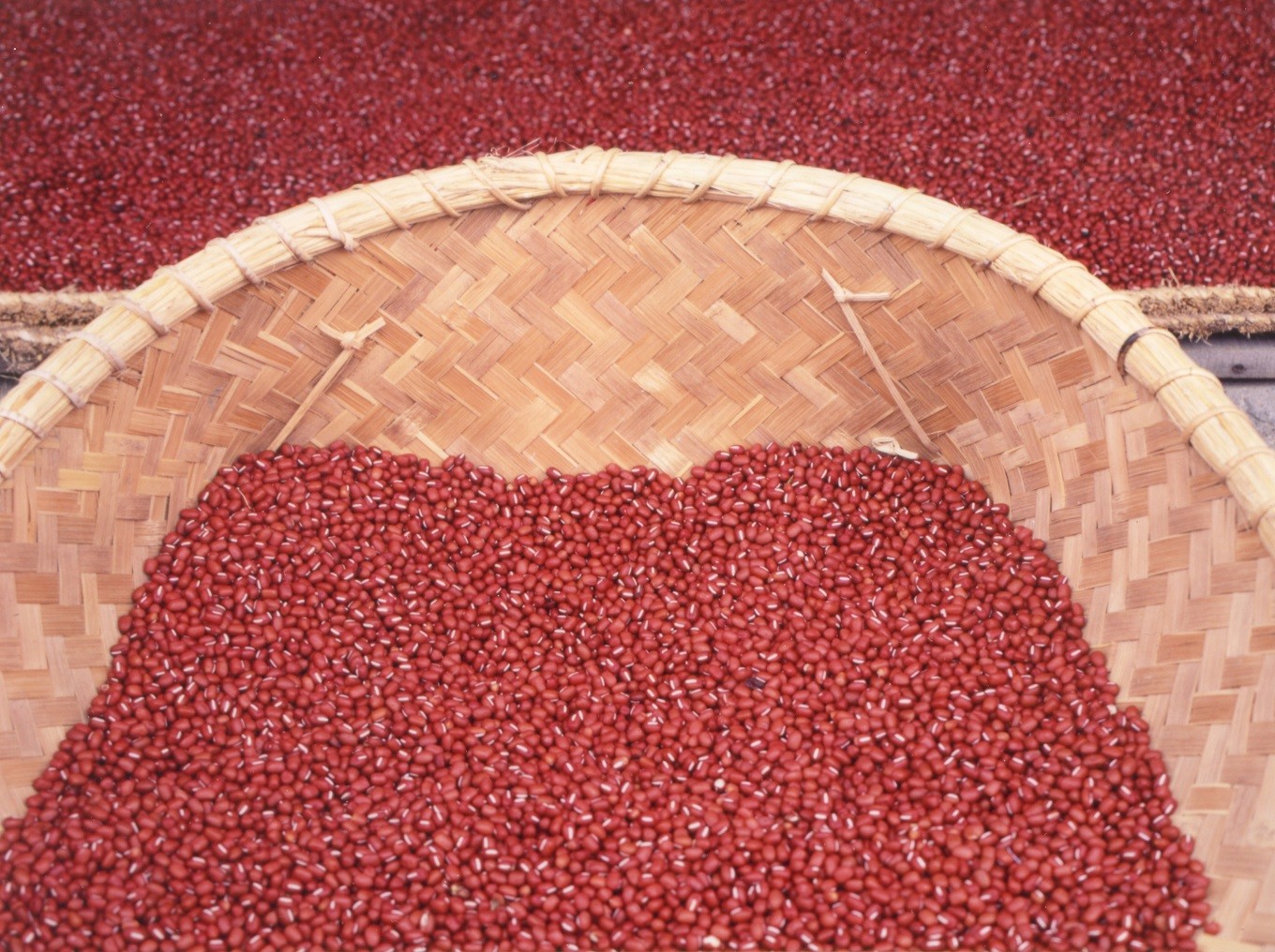 丹波高原の気候風土が高品質な丹波大納言小豆をはぐくみます。