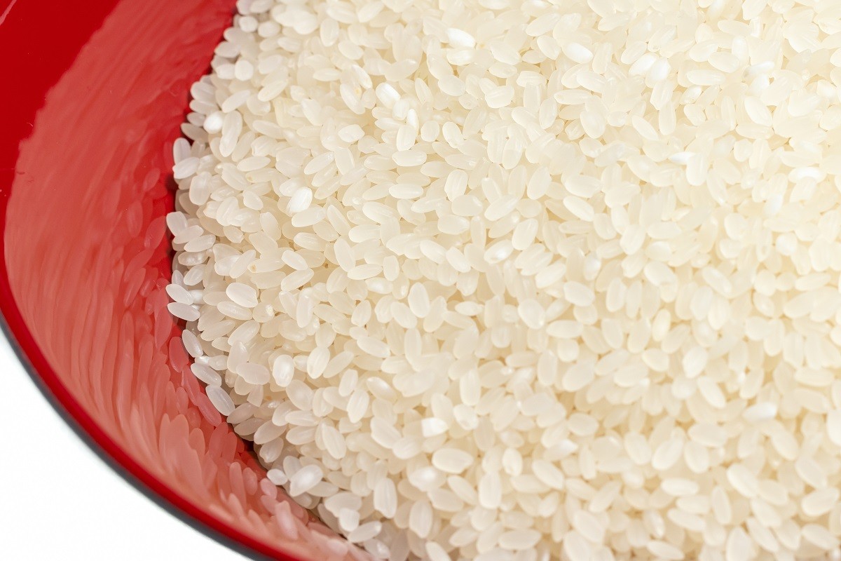 Ad104 定期便 特別栽培米ながさきにこまる 押麦セット 6ヵ月毎月発送 長崎県島原市 ふるさと納税 ふるさとチョイス