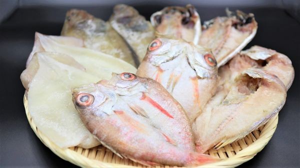 940 山陰浜田 シーライフより5種の魚を手塩に掛けた一夜干し詰め合わせ 島根県浜田市 ふるさと納税 ふるさとチョイス