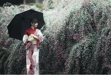 写真