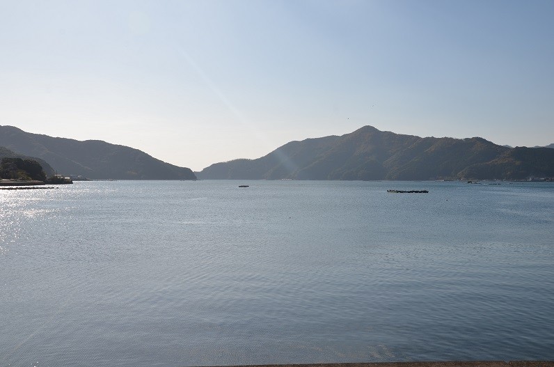 太平洋の温かい海水と瀬戸内海の冷たい海水が混じり合う好漁場です。