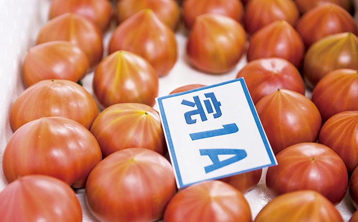 長崎県産「フルーツトマト」糖度８〜9.9度。約4.5キロ（1.5キロ×３）