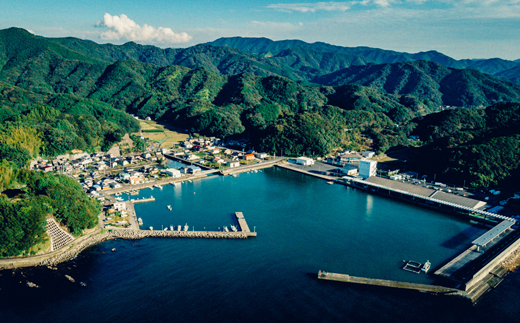 農園はすくも湾漁協中央市場のすぐそば