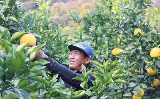 なるた果樹園の全品種の品質管理を担う成田 憲生（なるた のりお）さん