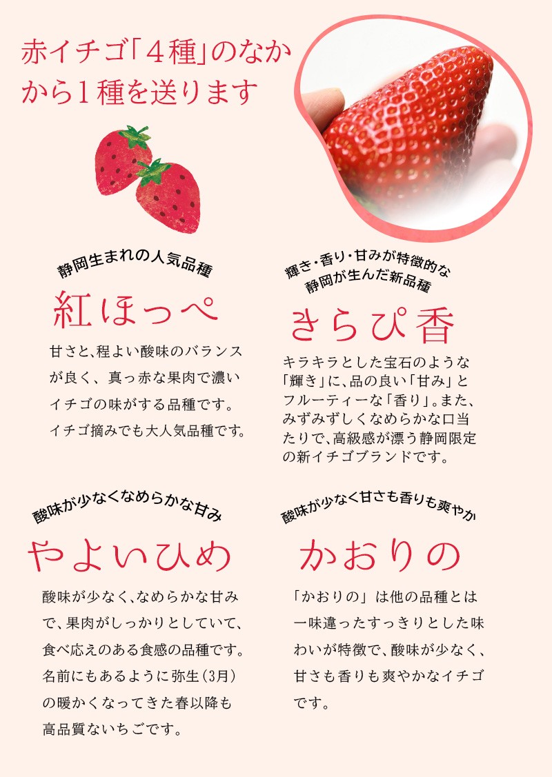 赤のイチゴ「紅ほっぺ」「きらぴ香」「やよいひめ」「かおりの」です♪
