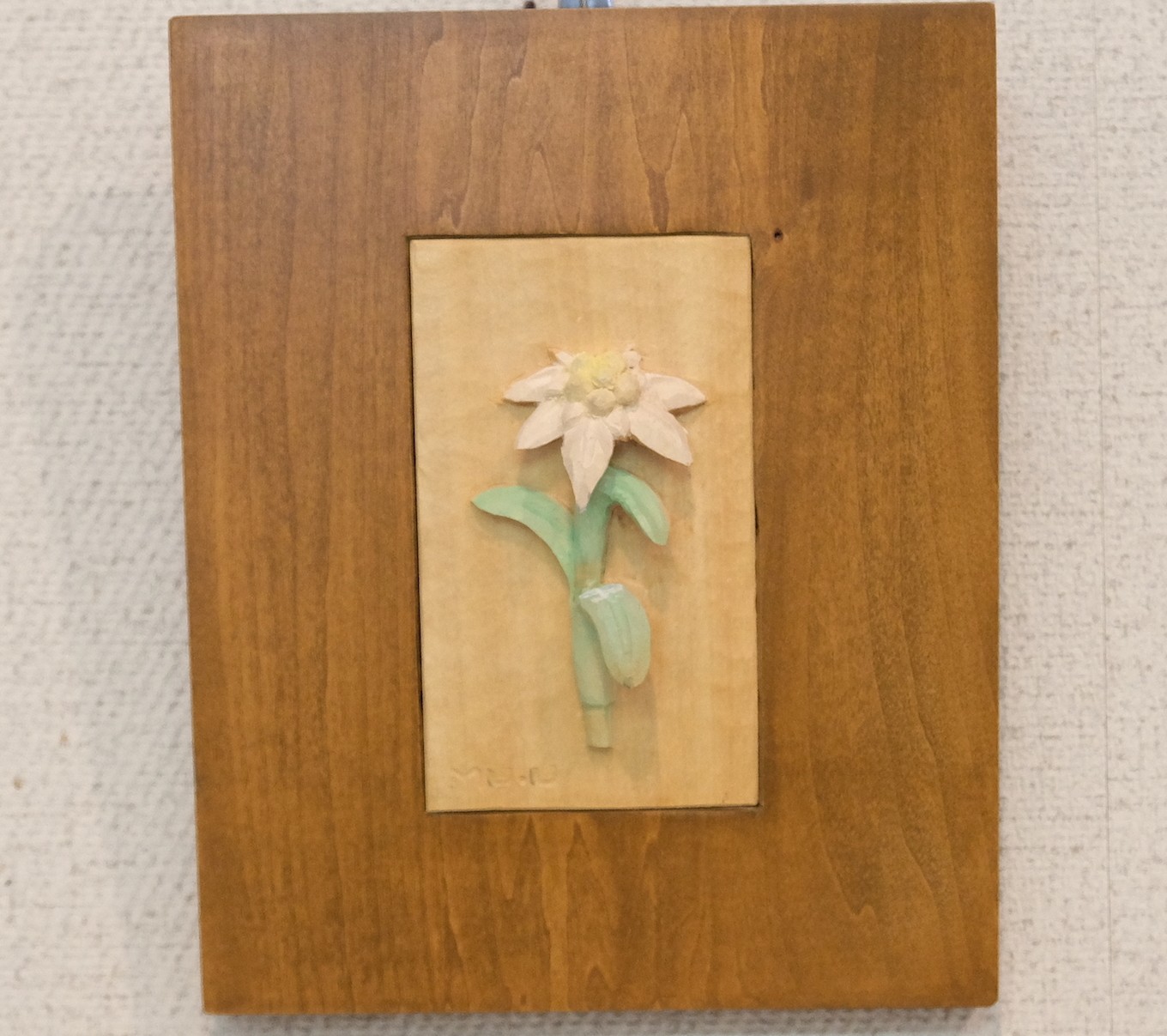 -ミヤマウスユキソウ-