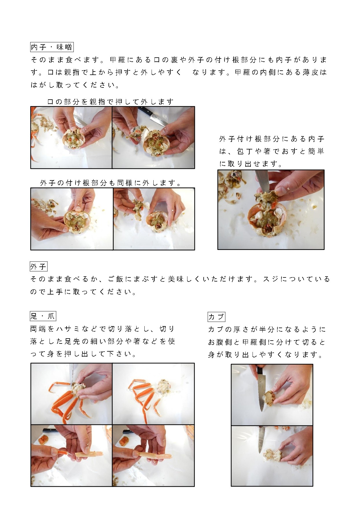 写真