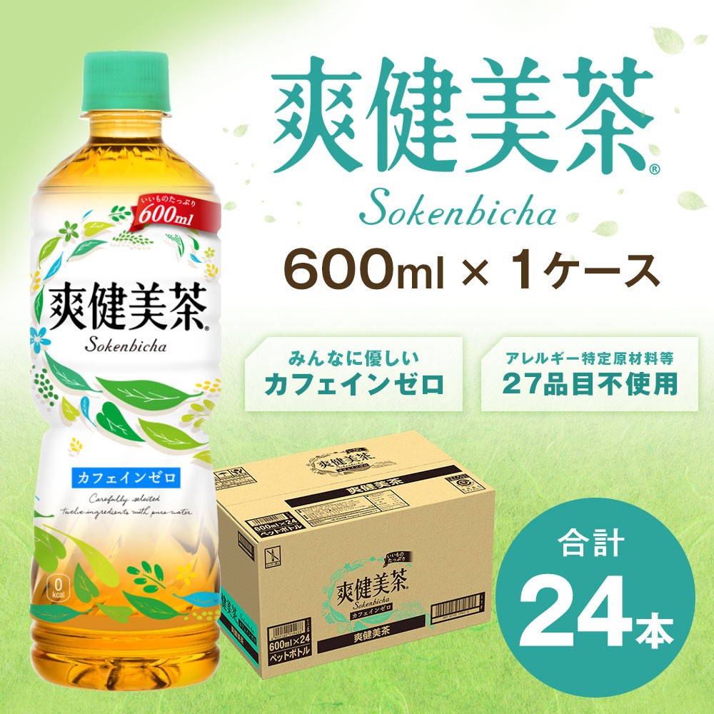 6_5-11 爽健美茶 600ml PET 1ケース - 佐賀県鳥栖市｜ふるさとチョイス - ふるさと納税サイト