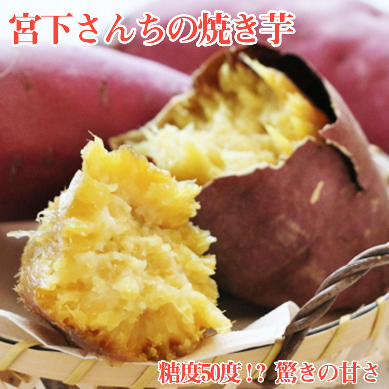 宮下さんちの焼き芋約1.8kg 糖度50度!?驚きの甘さ