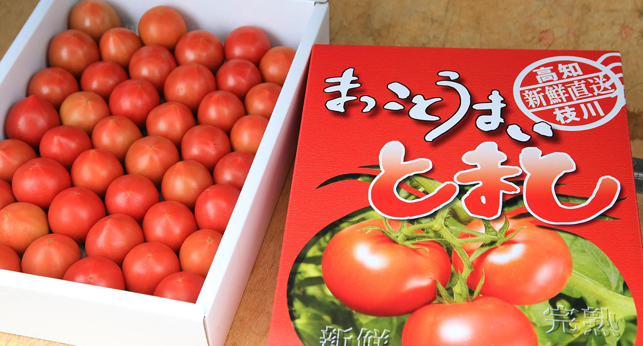 まっことうまい！水田さんのフルーツトマト【約２kg×2箱】 - いの町いの町 | ふるさと納税 [ふるさとチョイス]