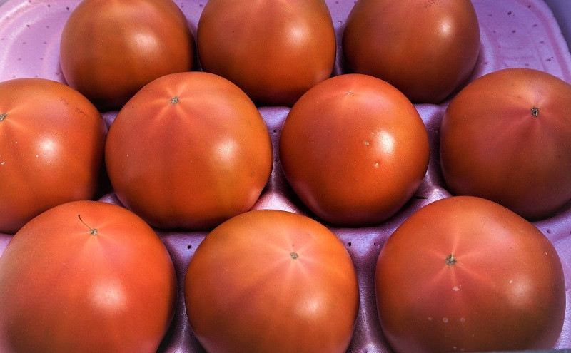 ※トマトのサイズの目安：直径4～6cm　の小玉をお届けします