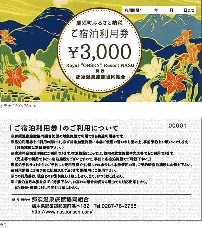 那須温泉旅館協同組合 ご宿泊利用券3,000円分（3,000円×1枚）〔B-9