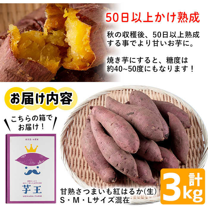 No.433 【数量限定】鹿児島県産！甘熟さつまいも(生)紅はるか3kg(S・M・Lサイズ 混在)熟成処理した甘くてしっとりとした食感の旬のお芋(青果)糖度50度にもなる焼き芋がおすすめ【上原農園】  - 鹿児島県日置市｜ふるさとチョイス - ふるさと納税サイト