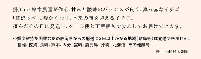 掛川産「紅ほっぺ」を6パックお届けします♪