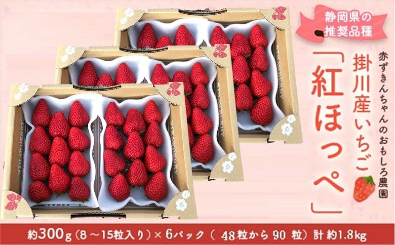 １１８４ 掛川産いちご 紅ほっぺ 約300g ６パック計1 ８ｋｇ 令和３年３月頃からの発送 赤ずきんちゃんのおもしろ農園 静岡県掛川市 ふるさと納税 ふるさとチョイス