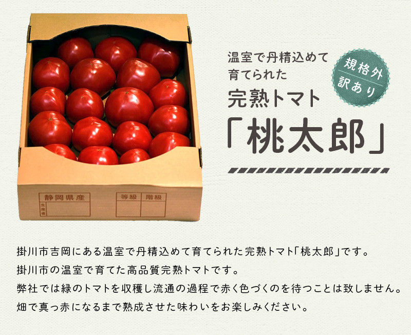 掛川市で育てた桃太郎トマトです!