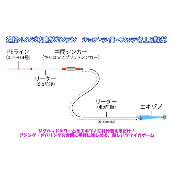 N051鯵 烏賊釣りバリューセット 佐賀県伊万里市 ふるさと納税 ふるさとチョイス