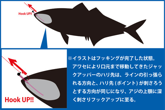 N051鯵 烏賊釣りバリューセット 佐賀県伊万里市 ふるさと納税 ふるさとチョイス