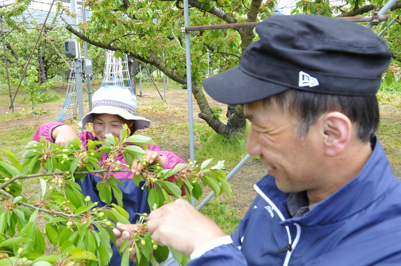 写真