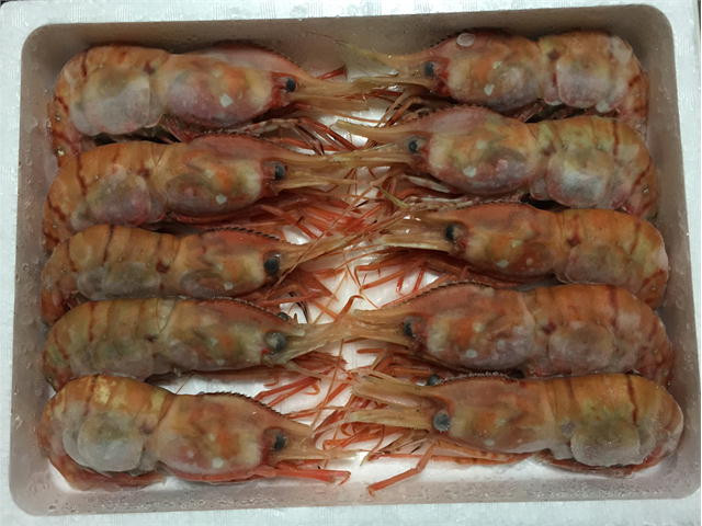 身はぷっくりとプリプリな食感!素材の味が活きる塩焼きがおすすめです!
