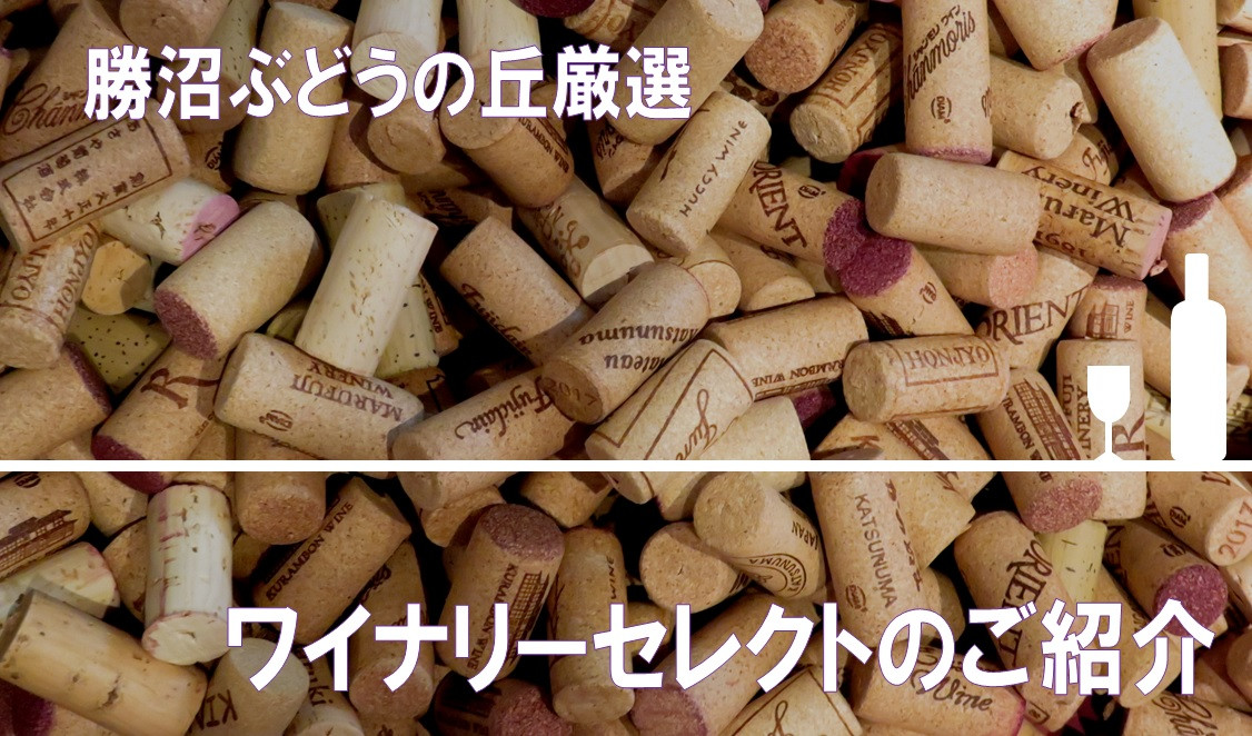 甲州市が育てた「日本ワイン」各ワイナリーのワインセットです。