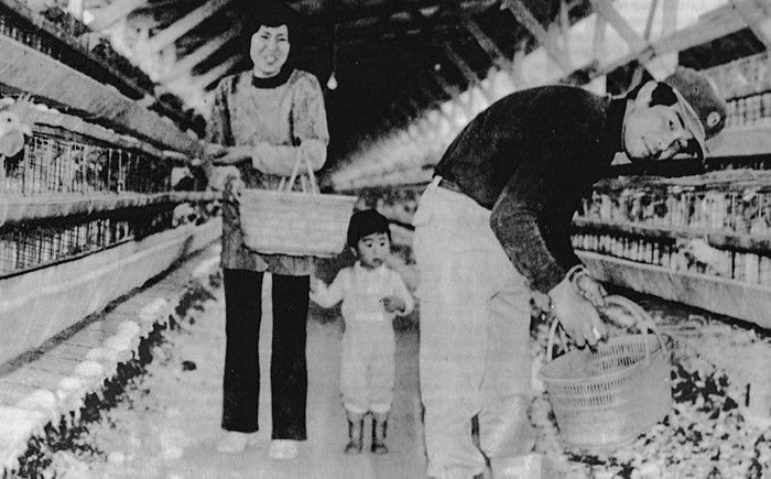 昭和57年頃の松本養鶏場