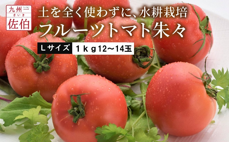 フルーツ トマト